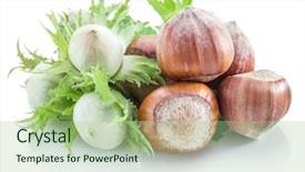  Presentation with hazelnuts - Audience pleasing presentation theme consisting of young hazelnuts and ripe brown hazelnuts on the white background backdrop and a mint green colored foreground