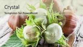  Presentation with hazelnuts - Colorful PPT layouts enhanced with young hazelnuts and ripe brown hazelnuts on the wooden table backdrop and a soft green colored foreground