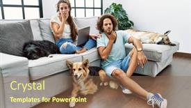  Presentation with sad dog abandoned dogs - Presentation theme enhanced with young-hispanic-couple-with-dogs background and a violet colored foreground