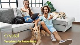  Presentation with dogs - Slide set consisting of young-hispanic-couple-with-dogs background and a  colored foreground