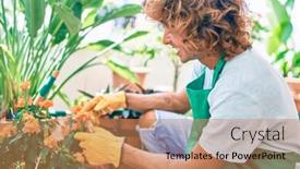  Presentation with hispanic - Amazing presentation having young-hispanic-gardener-smiling-happy backdrop and a coral colored foreground