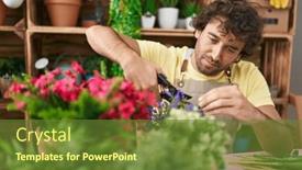  Presentation with young plant - 