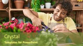  Presentation with young plant - 