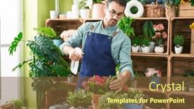  Presentation with diffuser - Slides enhanced with young-hispanic-man-florist-using background and a tawny brown colored foreground