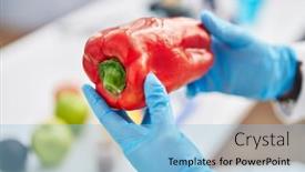  Presentation with hispanic - Presentation theme having young-hispanic-man-scientist-holding background and a  colored foreground