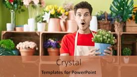  Presentation with young plant - 