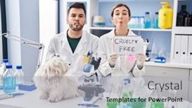  Presentation with fish people - PPT theme featuring young-hispanic-people-working background and a light gray colored foreground