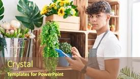  Presentation with young plant - 