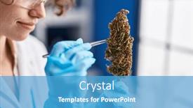  Presentation with young plant - Slide deck enhanced with young-hispanic-woman-scientist-holding background and a teal colored foreground