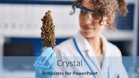  Presentation with young plant - Theme having young-hispanic-woman-scientist-smiling background and a light blue colored foreground