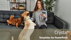  Presentation with dogs - Presentation enhanced with young-hispanic-woman-using-smartphone background and a violet colored foreground