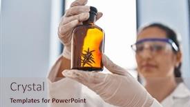  Presentation with herb - 