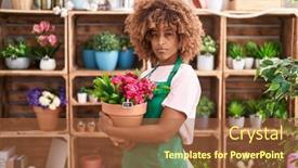  Presentation with attitude - Presentation theme with young-hispanic-woman-with-curly background and a red colored foreground