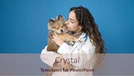  Presentation with dog - Slide deck featuring young-hispanic-woman-with-dog background and a  colored foreground