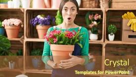  Presentation with young plant - 