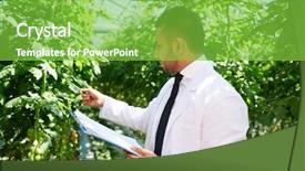  Presentation with staff - Presentation theme having young hothouse staff learning characteristics background and a seafoam green colored foreground