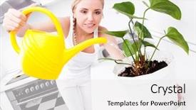  Presentation with flower beautiful lilac border - Slides consisting of  background and a  colored foreground.