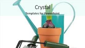  Presentation with red white blue - PPT theme featuring young hyacinth on the white background and a cool aqua colored foreground