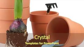  Presentation with clay - Beautiful presentation theme featuring young hyacinth with clay pot and soil on white background backdrop and a tawny brown colored foreground