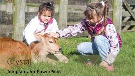  Presentation with animals - Audience pleasing PPT theme consisting of young-kids-taking-care backdrop and a seafoam green colored foreground