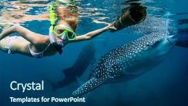  Presentation with sharks - PPT theme consisting of young lady snorkeling with whale background and a ocean colored foreground