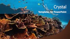  Presentation with sea coral - PPT layouts featuring young lady snorkeling in a transparent tropical sea by vivid coral reef background and a teal colored foreground