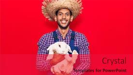  Presentation with rabbit - Presentation theme featuring young-latin-farmer-man-wearing background and a red colored foreground