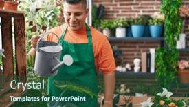  Presentation with young plant - 