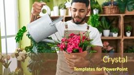  Presentation with young plant - 