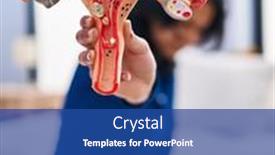  Presentation with uterus - PPT theme with young-latin-woman-suffering background and a ocean colored foreground