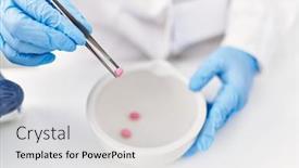  Presentation with young woman wearing boxer gloves - PPT layouts consisting of young-latin-woman-wearing-scientist background and a light gray colored foreground