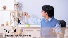  Presentation with anatomy - Audience pleasing theme consisting of young lecturer teacher teaching anatomy backdrop and a lemonade colored foreground