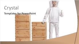  Presentation with bee - Slide set consisting of young-male-bee-keeper background and a white colored foreground