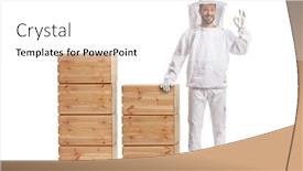  Presentation with bee - Slide deck consisting of young-male-bee-keeper background and a white colored foreground