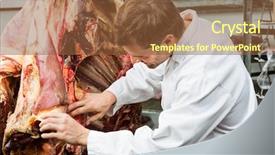  Presentation with butcher - Audience pleasing presentation design consisting of examine cow - young male butcher inspecting side backdrop and a tawny brown colored foreground