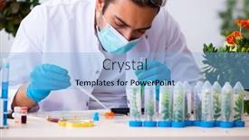  Presentation with chemist - PPT layouts featuring young-male-chemist-perfumer-working background and a light blue colored foreground