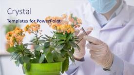  Presentation with chemist - Cool new theme with young-male-chemist-working backdrop and a sky blue colored foreground