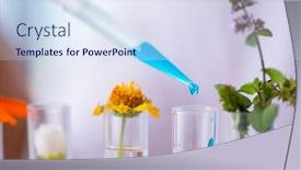  Presentation with chemist - Audience pleasing theme consisting of young-male-chemist-working backdrop and a sky blue colored foreground