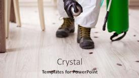  Presentation with contractor - PPT theme featuring young-male-contractor-doing-pest background and a light gray colored foreground