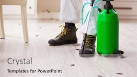  Presentation with pest control - Audience pleasing PPT theme consisting of young-male-contractor-doing-pest backdrop and a light gray colored foreground