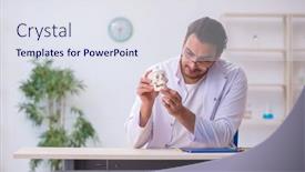  Presentation with human anatomy male muscles - PPT theme with young-male-doctor-demonstrating-human background and a sky blue colored foreground