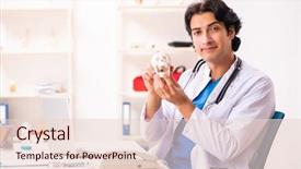  Presentation with human anatomy male muscles - Cool new PPT theme with young male doctor with human' backdrop and a lemonade colored foreground