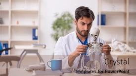  Presentation with skeleton - Slide deck having young-male-doctor-studying-human background and a coral colored foreground