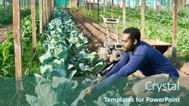  Presentation with farm - Presentation design enhanced with young-male-farmer-crouching background and a ocean colored foreground