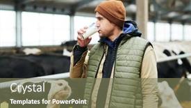  Presentation with milk dairy - PPT theme having young-male-farmer-in-waistcoat background and a violet colored foreground