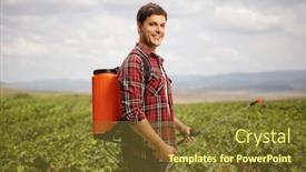  Presentation with pesticides - Presentation theme with young-male-farmer-spraying background and a tawny brown colored foreground