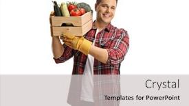  Presentation with shoulder - Presentation having young-male-farmers-carrying-crate background and a  colored foreground