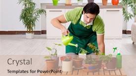  Presentation with plants - Amazing presentation design having young male gardener with plants indoors backdrop and a soft green colored foreground