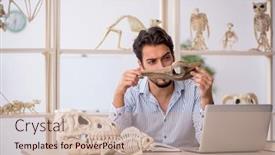  Presentation with lab animals - PPT theme consisting of young-male-paleontologist-examining-ancient background and a  colored foreground