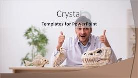  Presentation with lab animals - PPT theme with young-male-paleontologist-examining-ancient background and a sky blue colored foreground